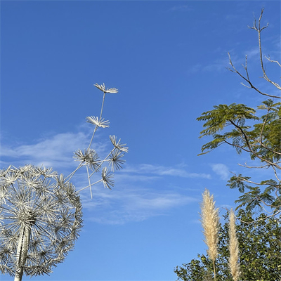 Outdoor Metal Dandelion Garden Sculpture Art Led Motif Light Decorative